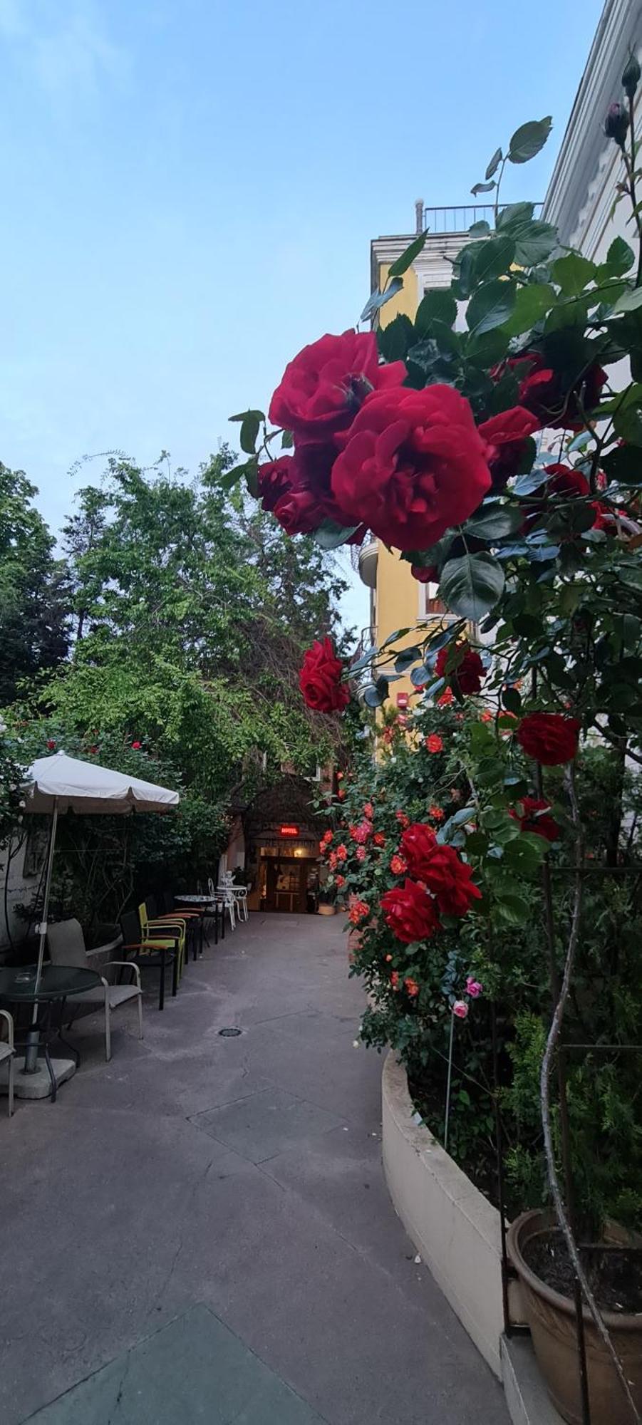 Casa Michelangelo Hotel Букурещ Екстериор снимка